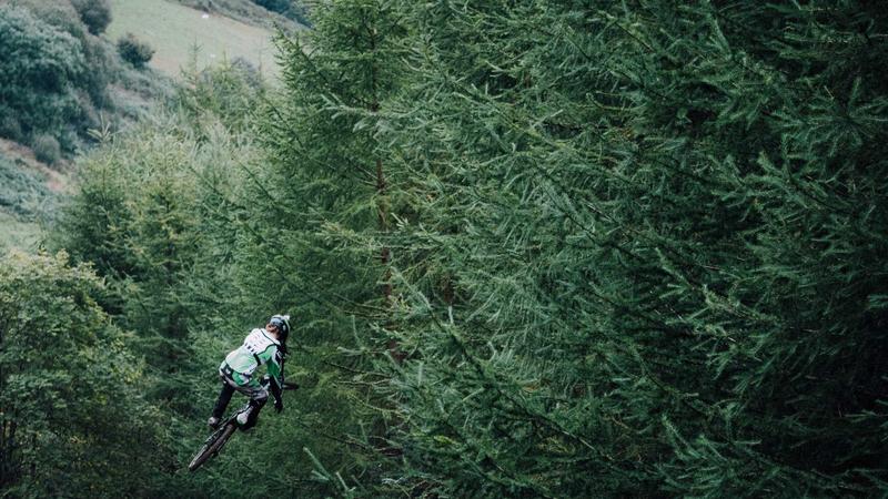 Featured image for Clawseo Net article