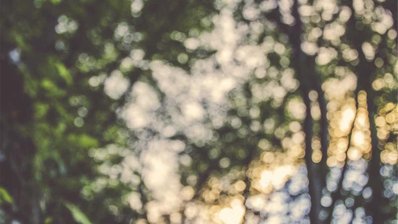 Featured image for Clawseo Net article