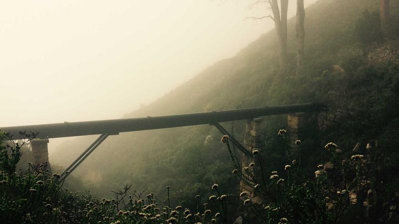 Featured image for Clawseo Net article