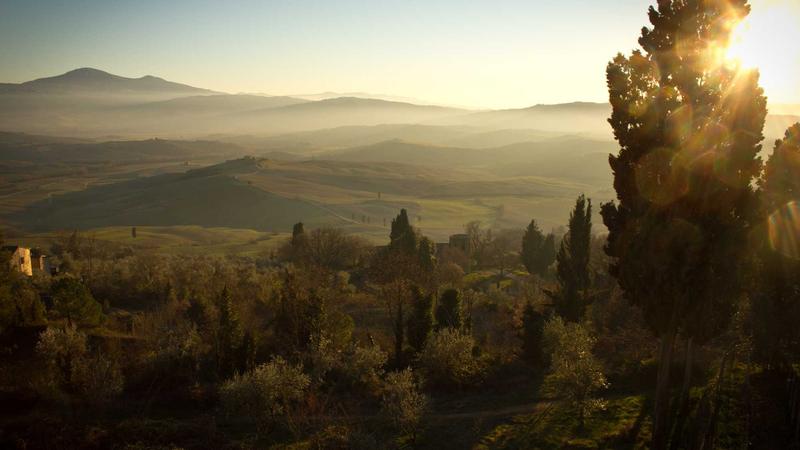 Featured image for Clawseo Net article