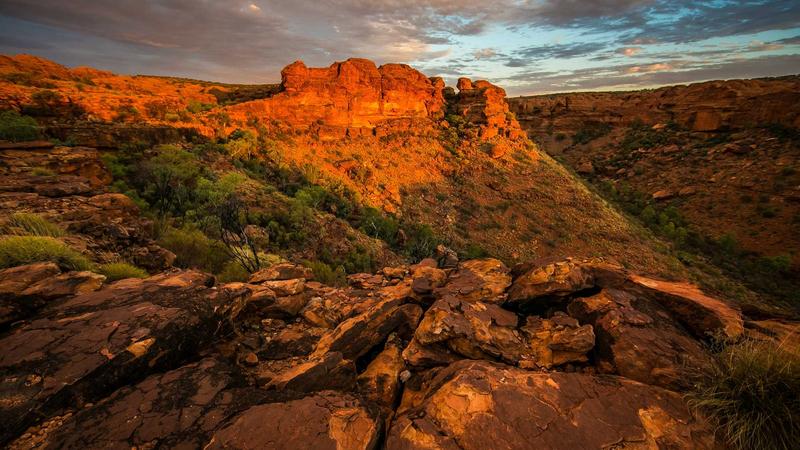 Featured image for Clawseo Net article