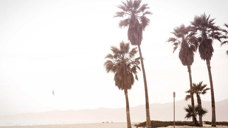 Featured image for Clawseo Net article