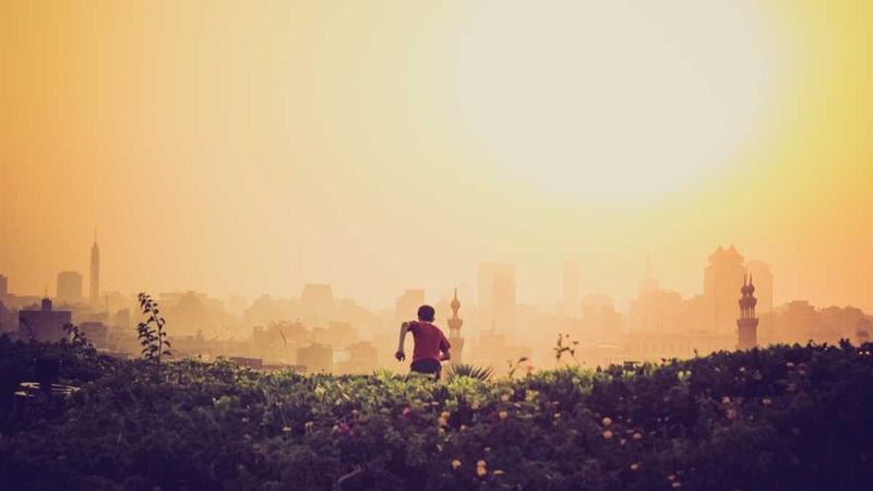 Featured image for Clawseo Net article