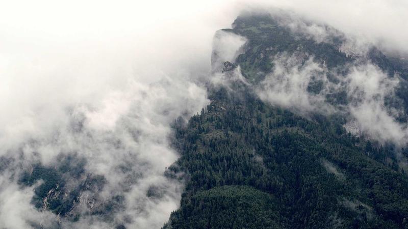 Featured image for Clawseo Net article