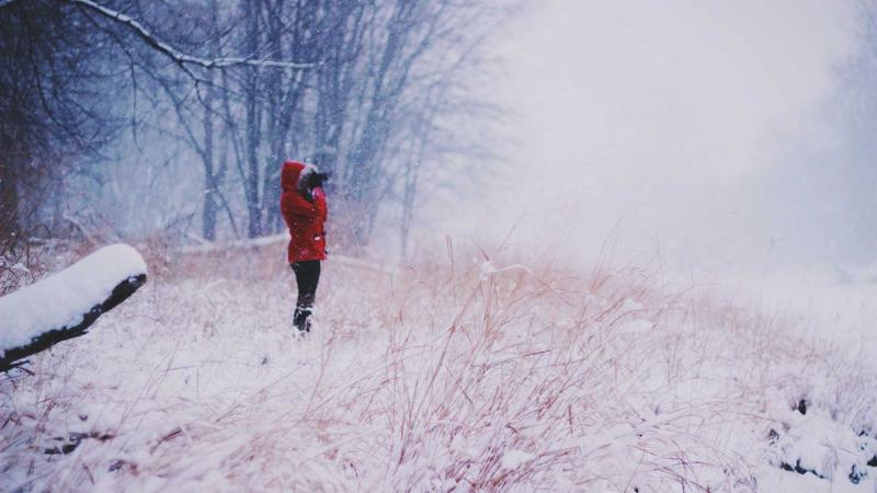 Featured image for Clawseo Net article