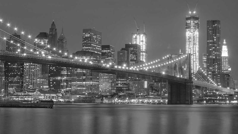 Featured image for Clawseo Net article