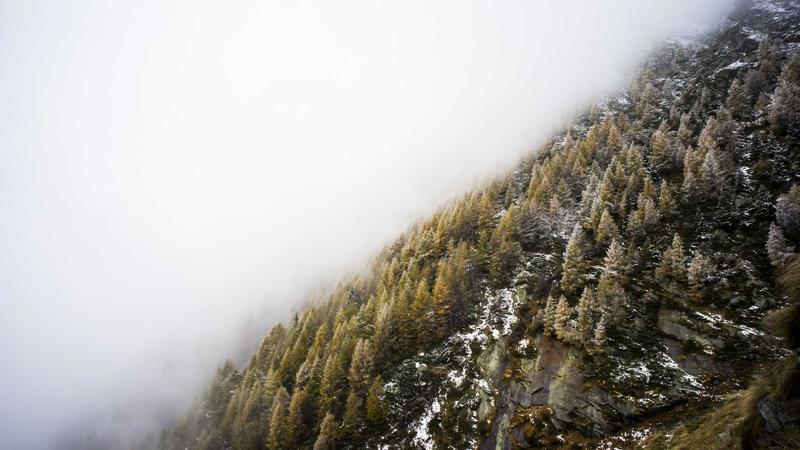 Featured image for Clawseo Net article