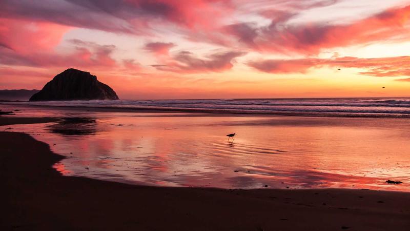 Featured image for Clawseo Net article