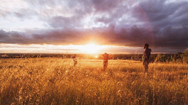 Featured image for Clawseo Net article