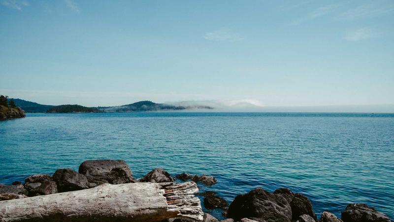 Featured image for Clawseo Net article