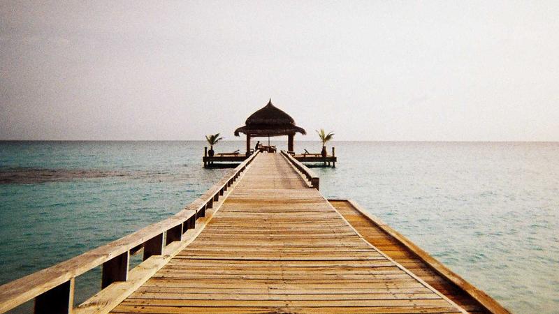 Featured image for Clawseo Net article