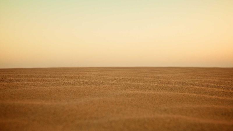 Featured image for Clawseo Net article