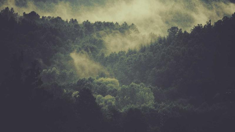 Featured image for Clawseo Net article